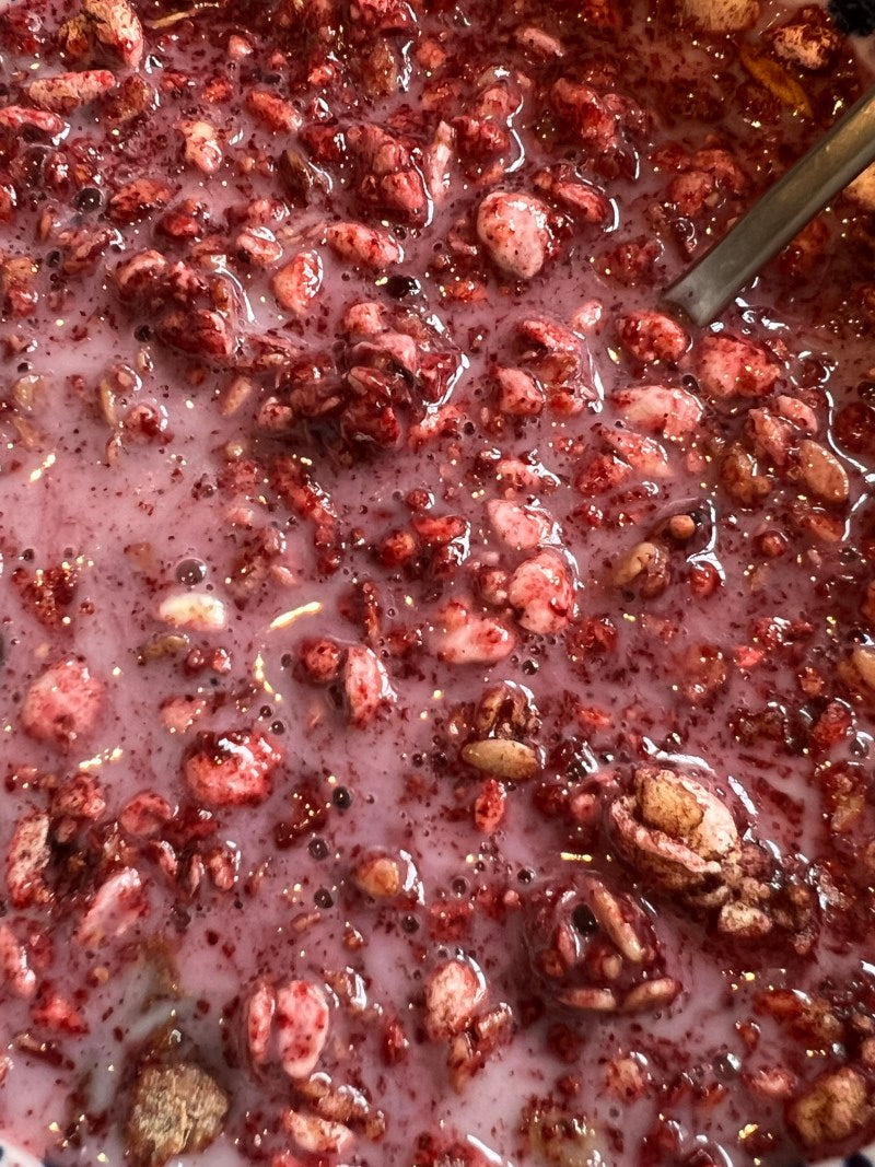 Haskap Berry & Fig Granola
