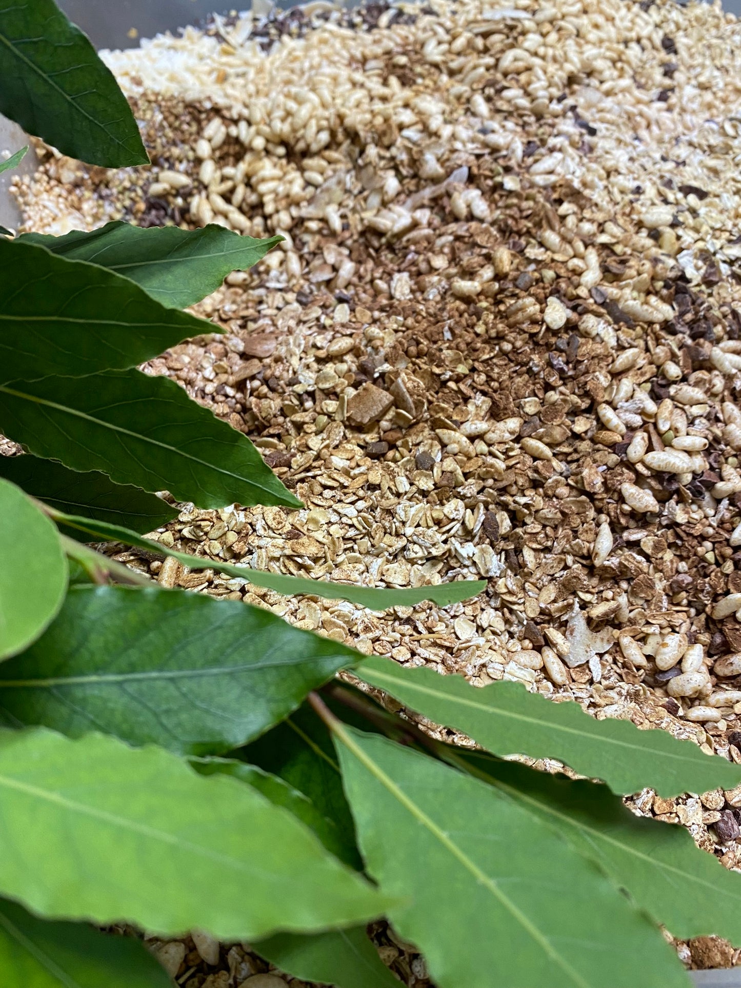 Chocolate & Bay Leaf Granola