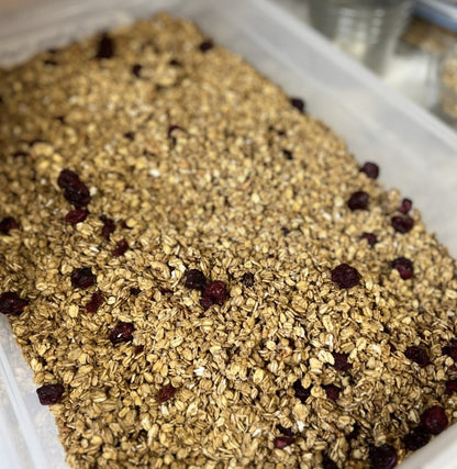 Sour Cranberry & Cinnamon Granola - A Development Blend
