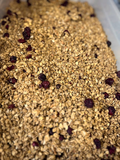 Sour Cranberry & Cinnamon Granola - A Development Blend